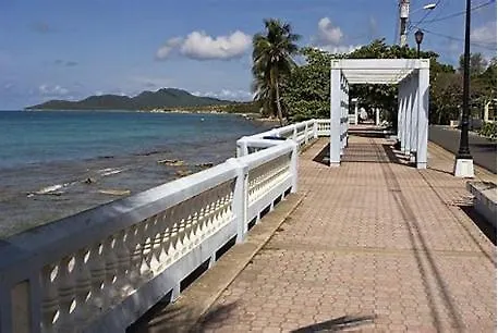 Hotel Crash And Go Glamping Campsite -Like Visiting Your Own Family 47-Usd N Booking Fees -10Ft Tent Queen Bed -5 Minutes Walk Bio Bay Stations, Walk To Beaches Esperanza -Sunbay-Black Sand And 5 Minutes Walk To Restaurants Vieques 0*,